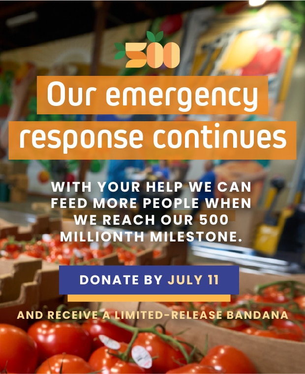 Image for our emergency response - donate by July 11 and receive a limited-release bandana